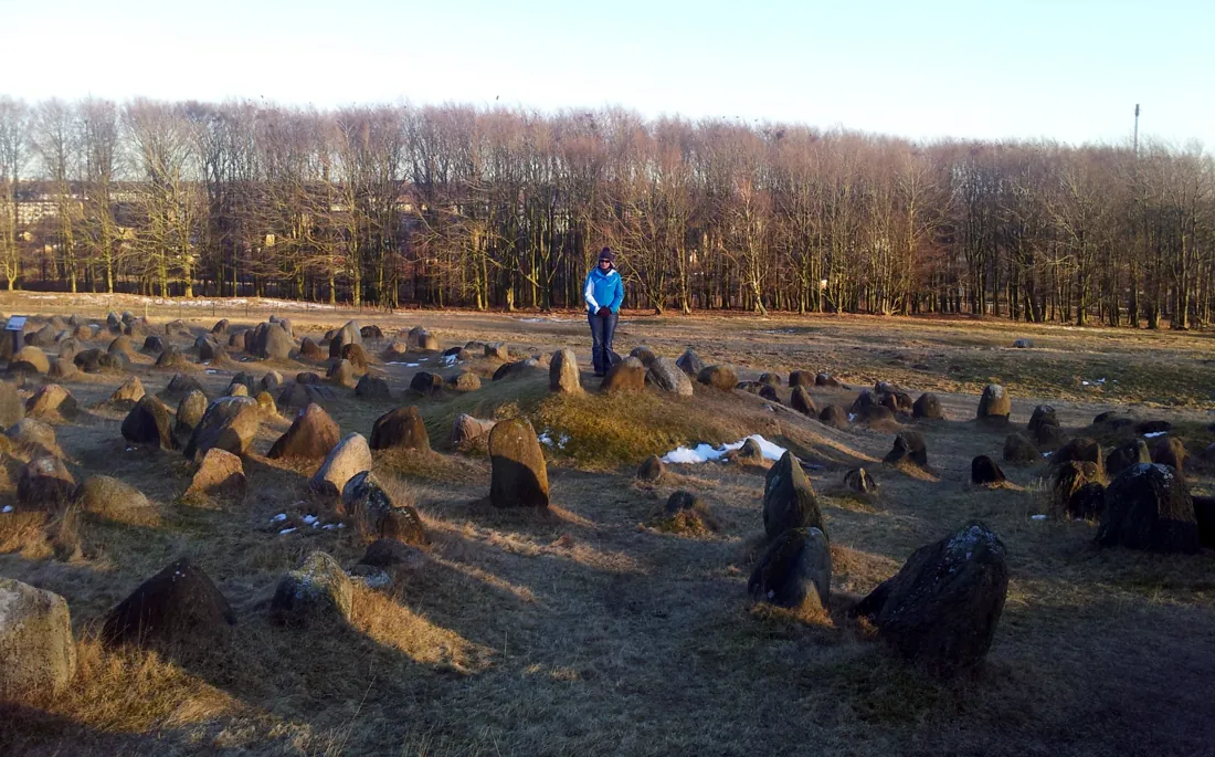 Die Autorin im Winter zwischen den schiffsförmigen Steinsetzungen von Lindholm Høje, dahinter kahle Bäume