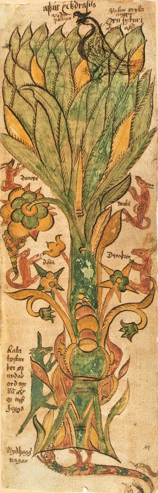 Farbige Zeichnung des Weltenbaums Yggdrasil mit Tieren an Stamm und Ästen